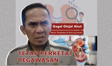 Gagal Ginjal Akut Belum Terdeteksi di Kota Gorontalo, Komisi A Minta Tetap Perketat Pengawasan